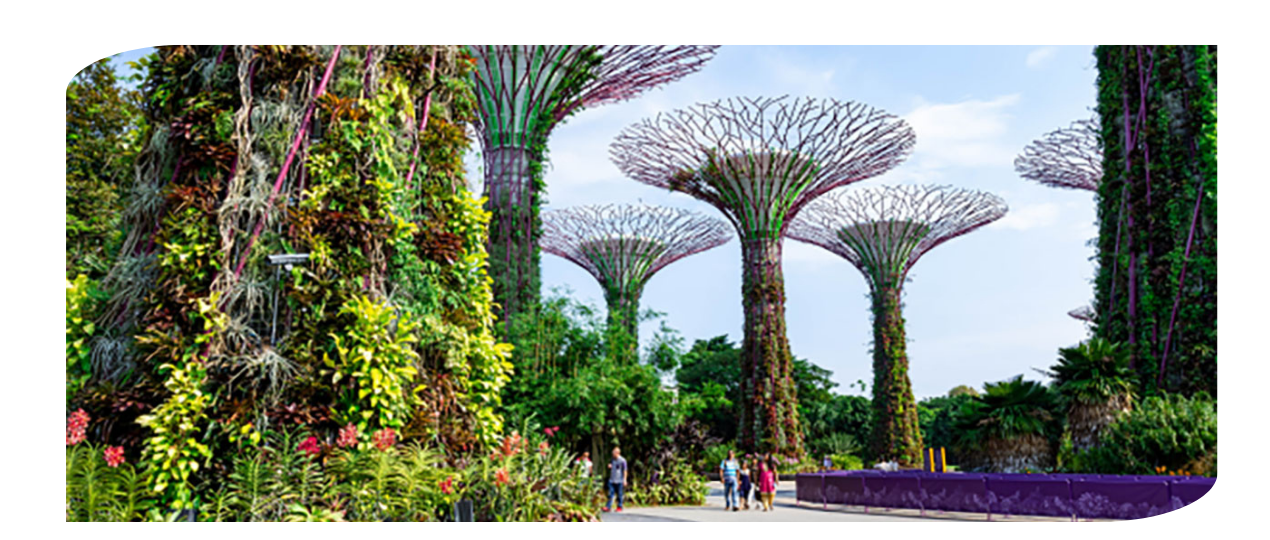 Trade Mission to Singapore